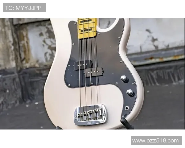 百元贝斯与万元贝斯的音色对比与演奏体验探讨